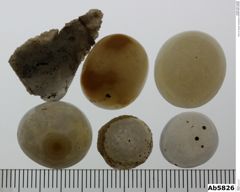 Foto von Quarz (Chalcedon) (NHMW-MIN-Ab5826)